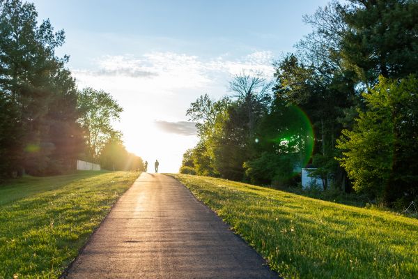 Asphalt Pathway Installation in Spring